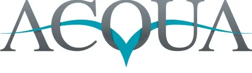 My Website